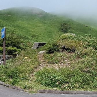 ここから登山開始てす。