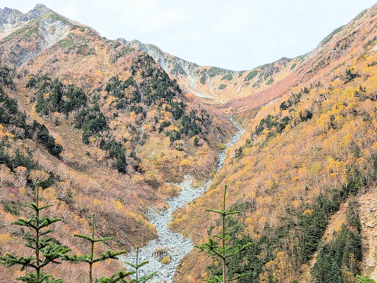 横尾沢