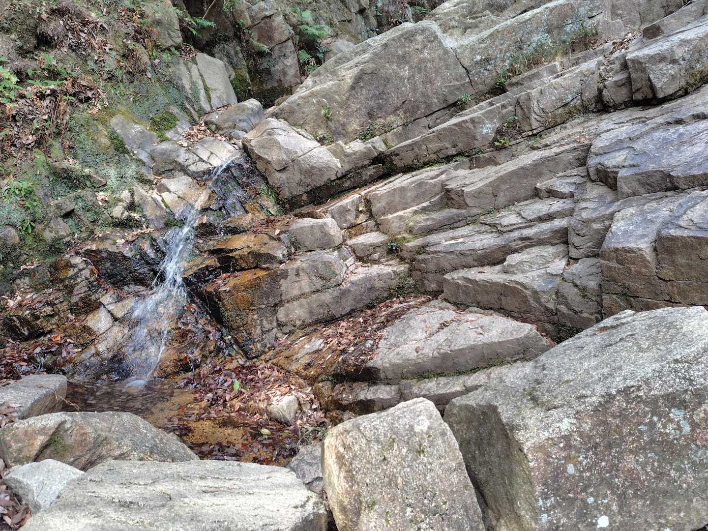 水量少なめ