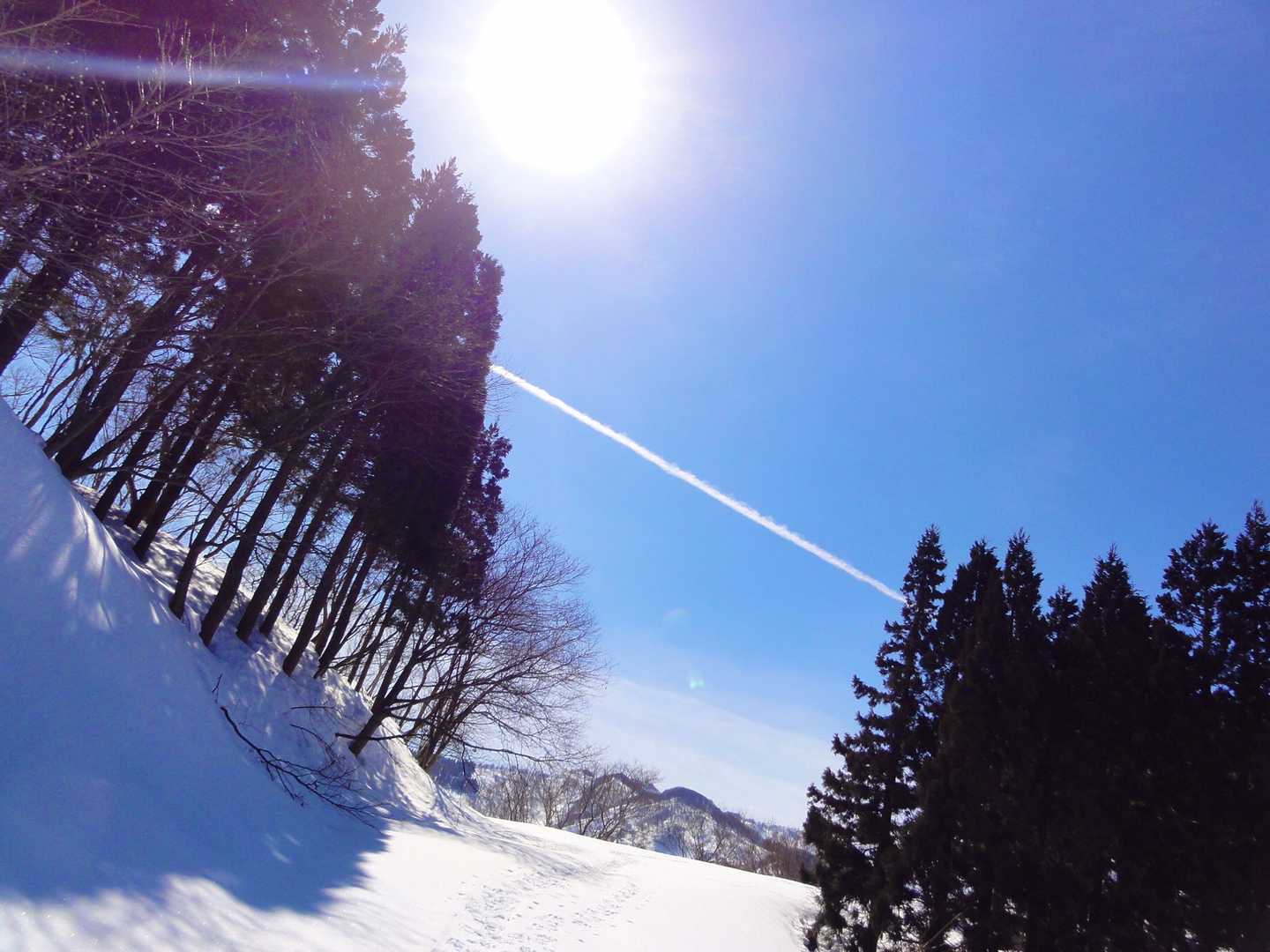 この糸が繋がる先はどこだろう。