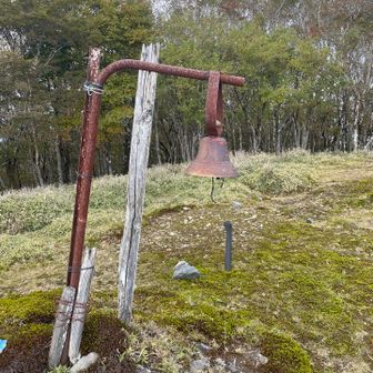 幸せの鐘🔔