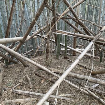 ここも突破出来ません。
まぁ適当に降りたけどさ。