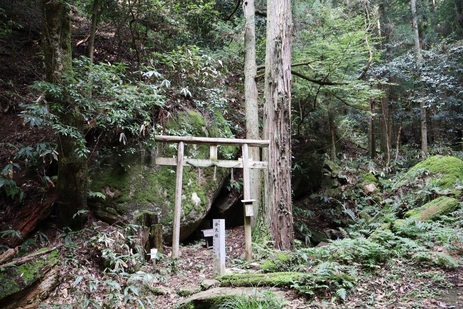 三角山 往復コースの写真