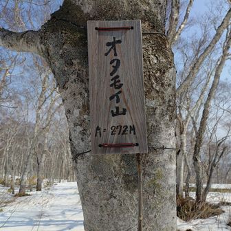 山頂到着。標識ありがとうございます