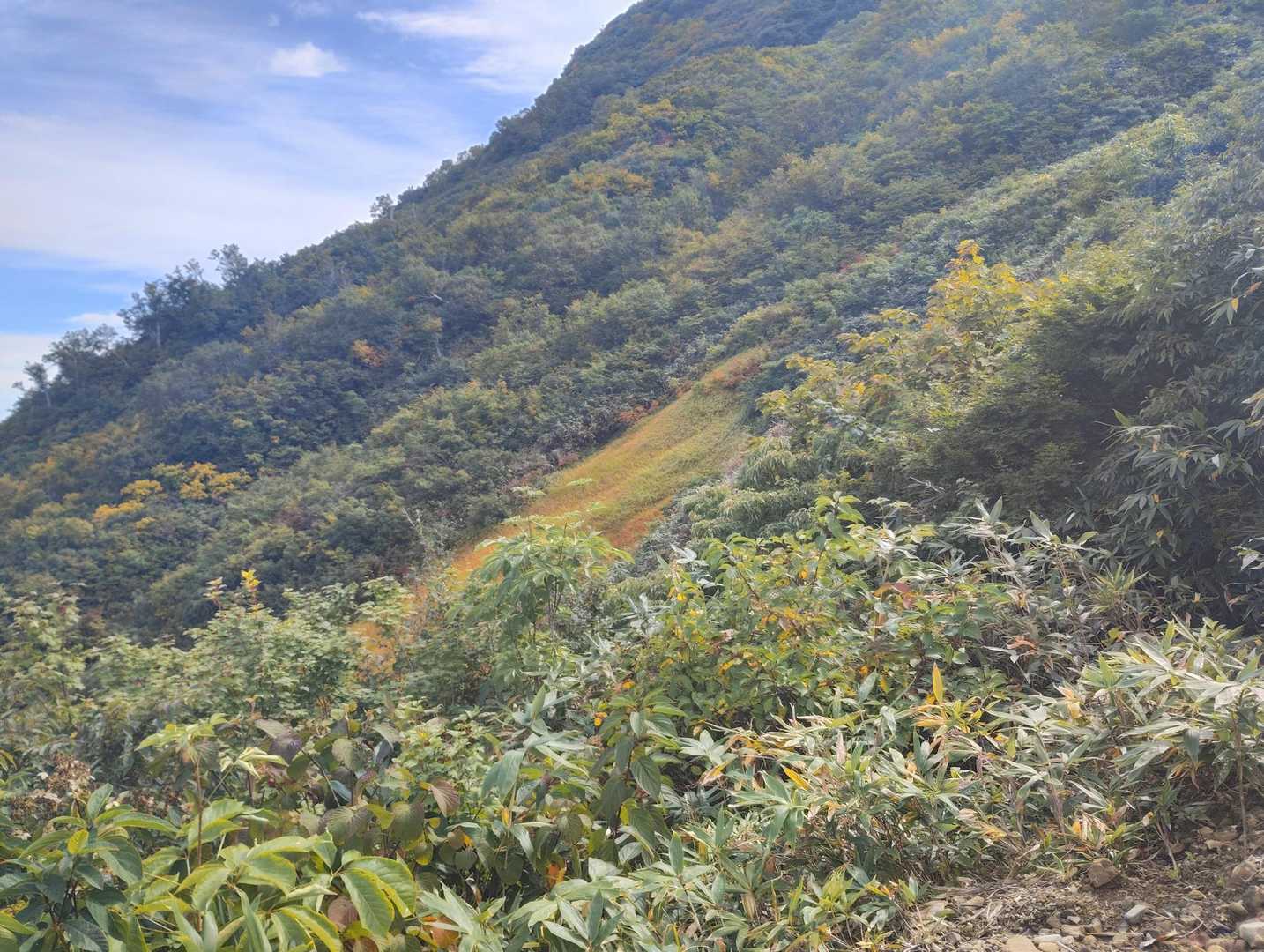 山頂駅-大日岳 往復コースの写真