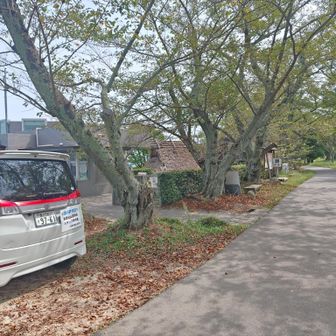 山頂まで車で来れるみたい🚙資料館兼、喫茶店に入ってみます☕