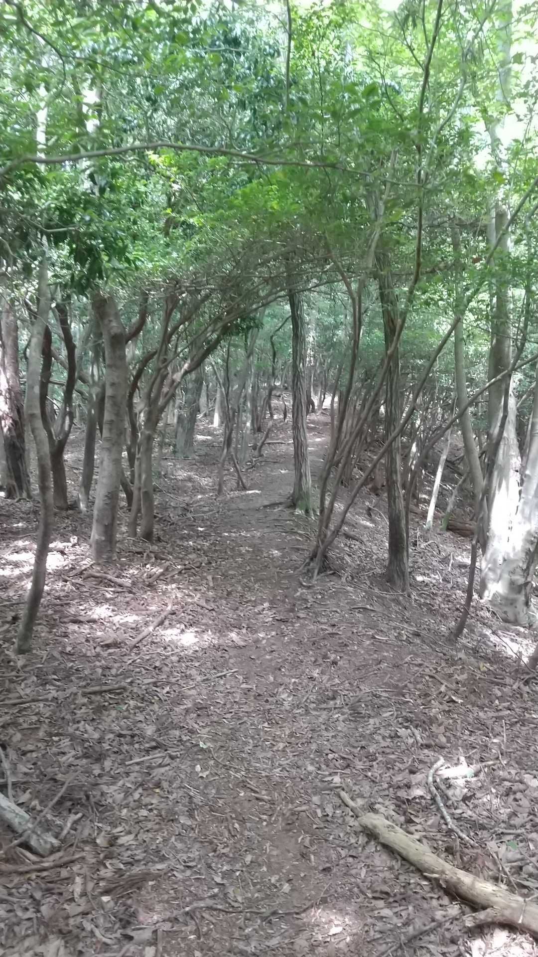 風が～きもちいー