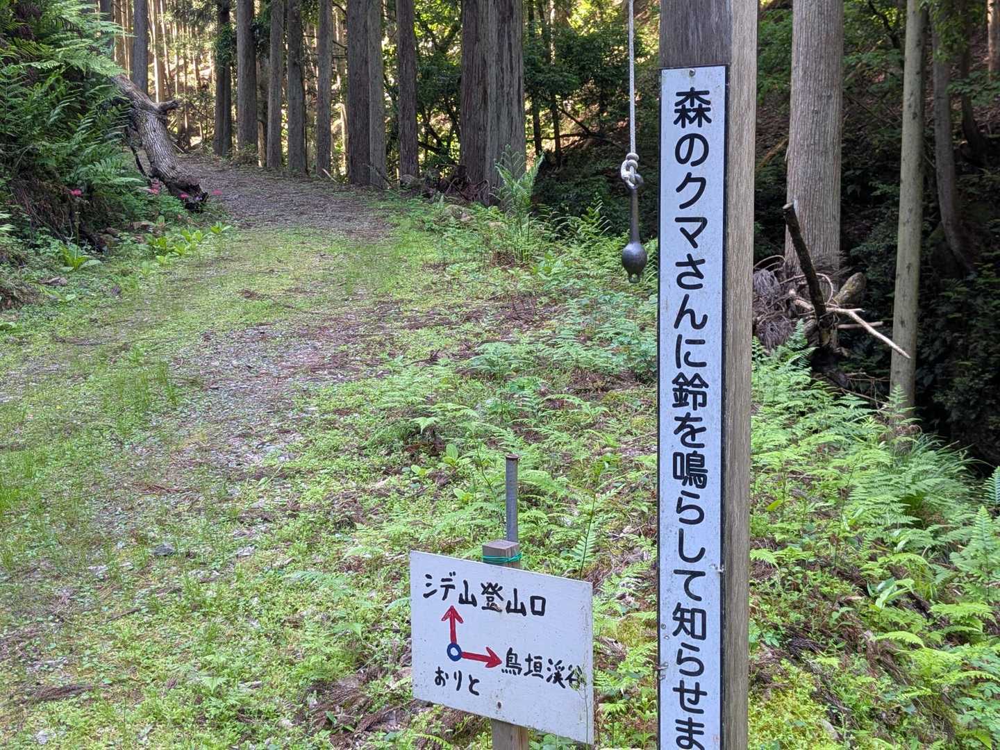 シデ山 往復コースの写真