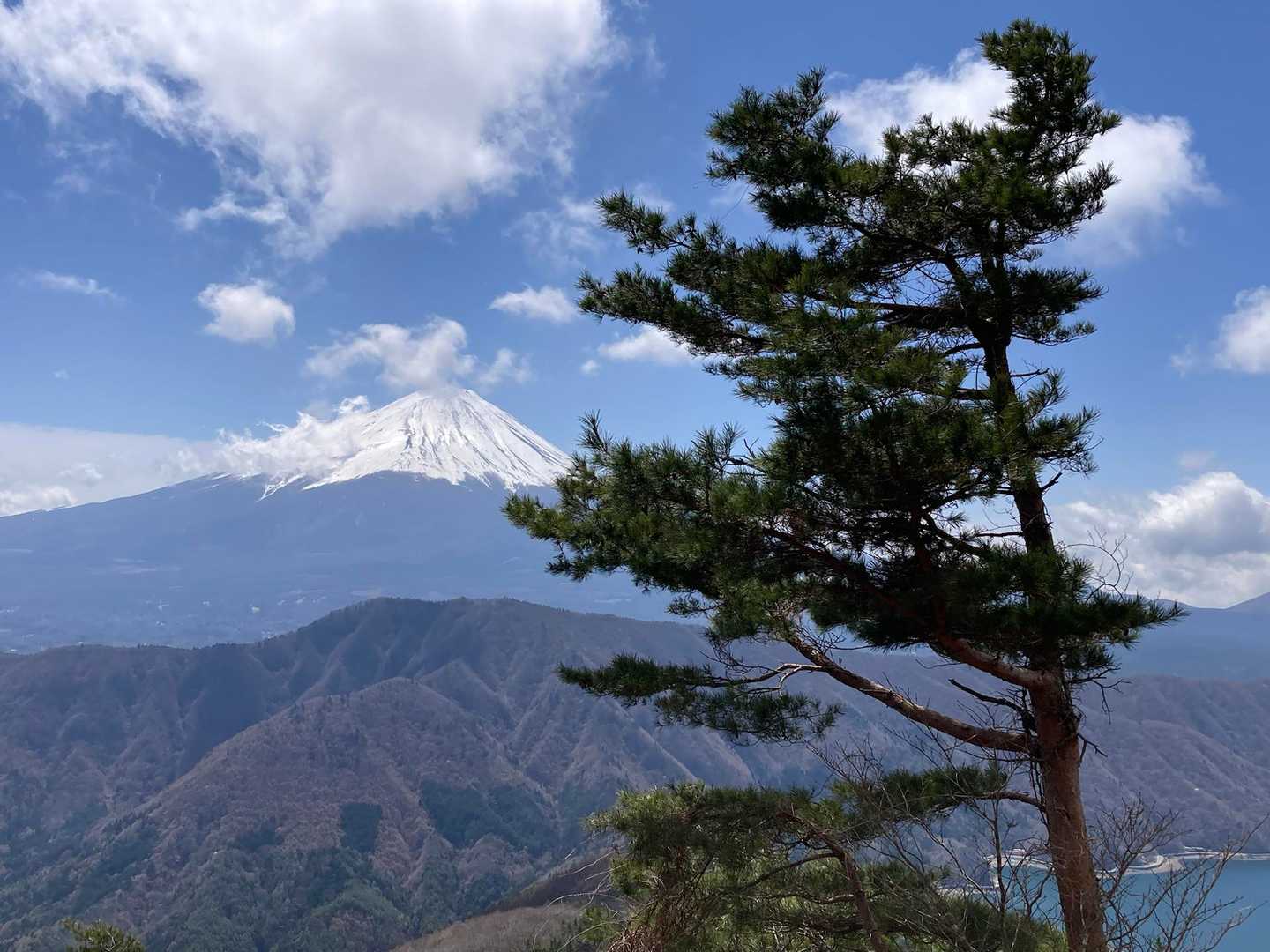 十二ヶ岳登山道入口-ミネ山-毛無山-十二ヶ岳-桑留尾登山口 縦走コースの写真