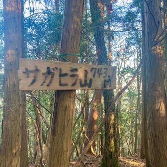 サガヒラ山⛰️