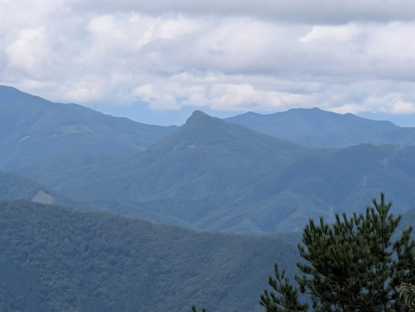 子檀嶺岳
尖ってるよ!
