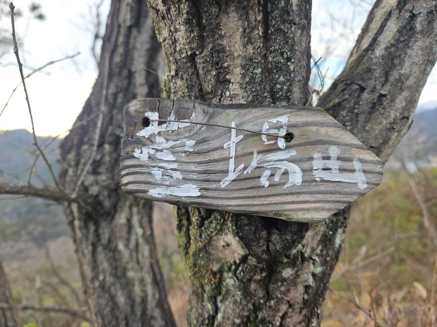 ウェーイ頂上。