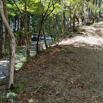 道路が見えてきました