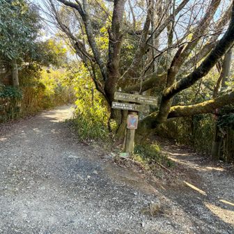右は他の駅へ降りる道
鬼取山のある左へ