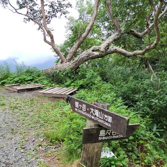 大滝山と島々のクラシックルート分岐