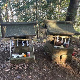 祠があるので、いろいろお願いしました。
お賽銭あげずに、ちょっと虫が良かった。