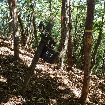 電波塔経由で下山