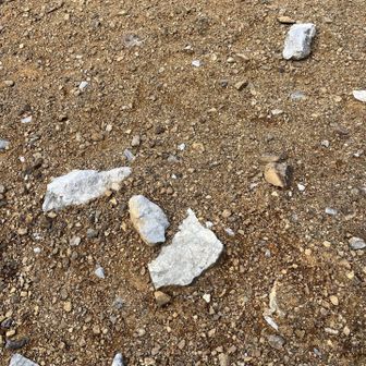 石灰岩らしきがパラパラ