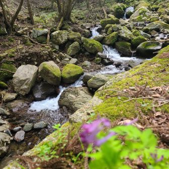 滝と🌸

※不動の滝は
動画に収めたぜ(* 'ᵕ' )☆
