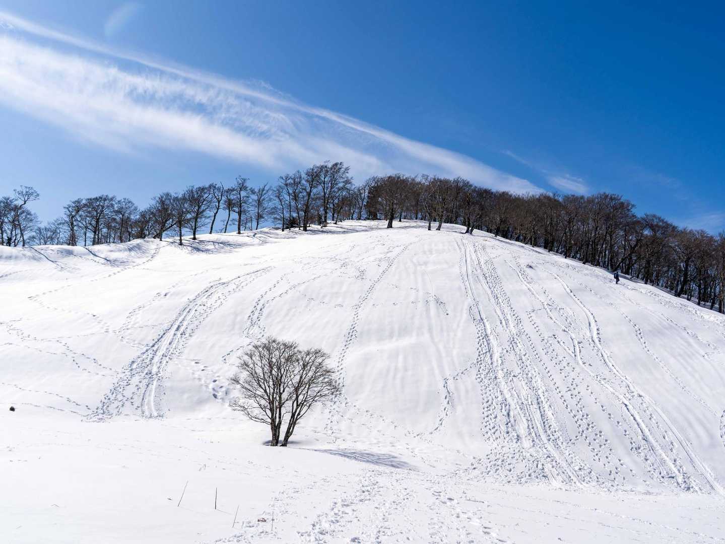 明神平-明神岳 往復コースの写真