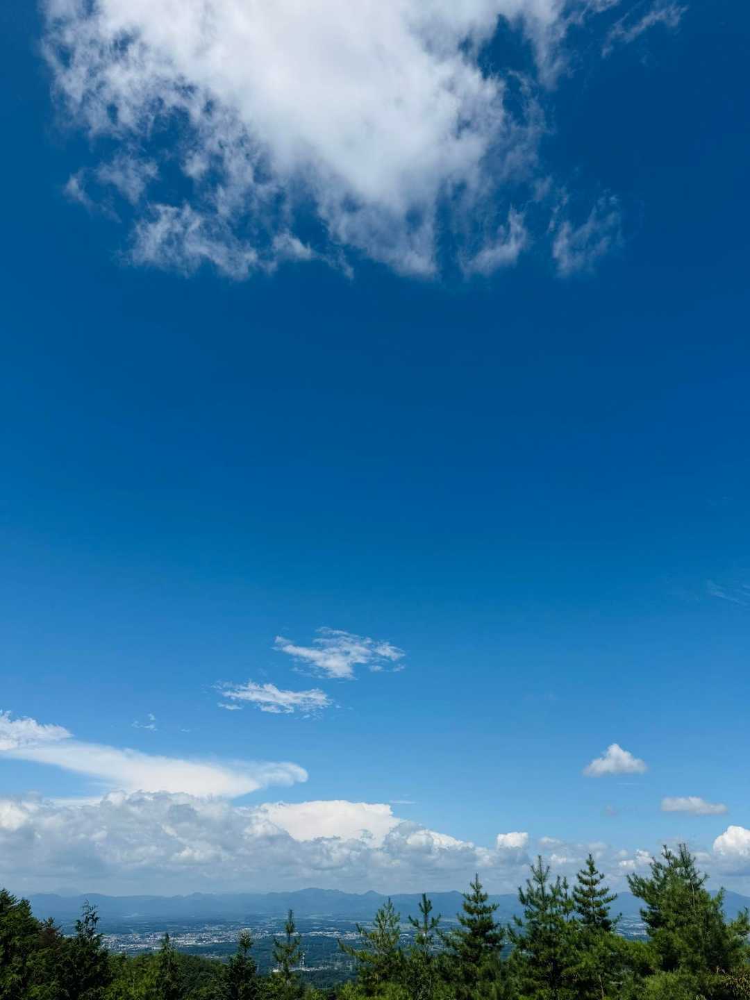 宇津峰 往復コースの写真