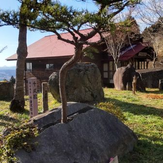 石割松こと千成松