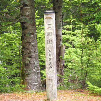 七面山山頂。展望はない