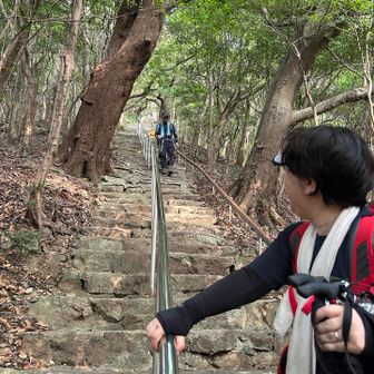 手すり付きロング階段
逆回りコースだとこれを登ることになる