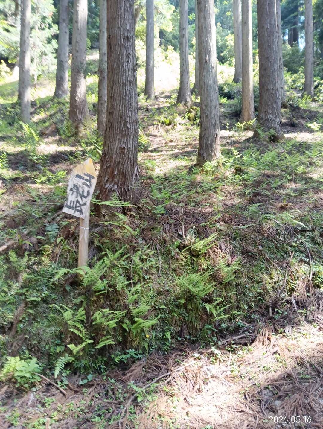 看板の角度が急登を匂わせています😊