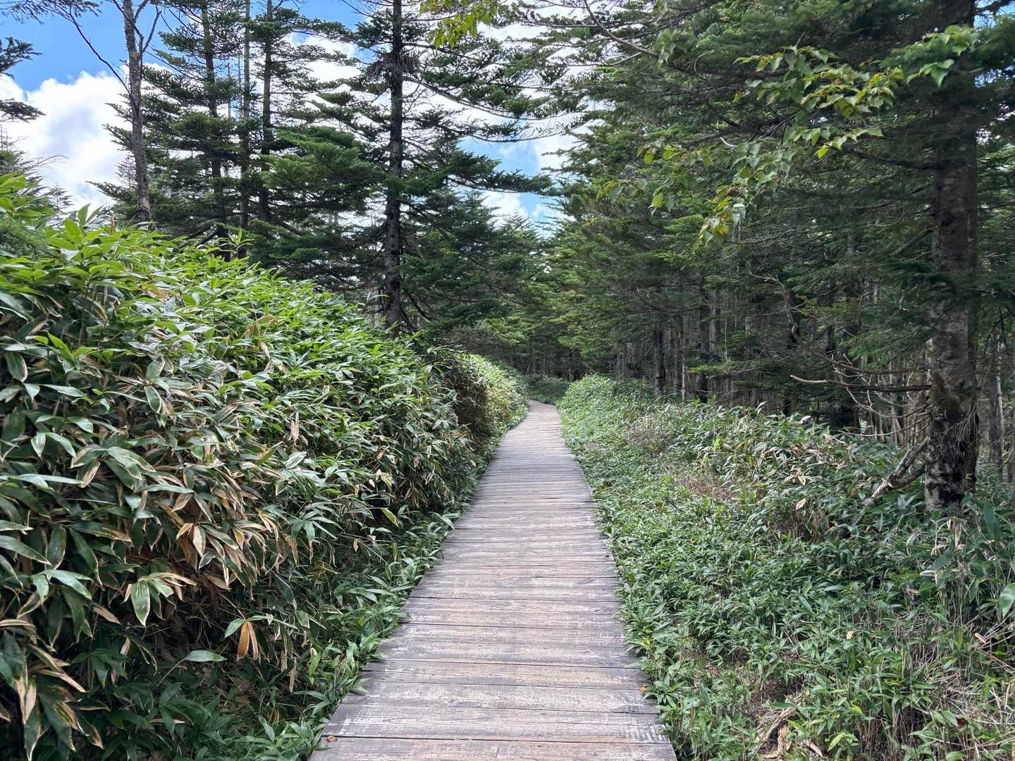 さあ、あと少し。