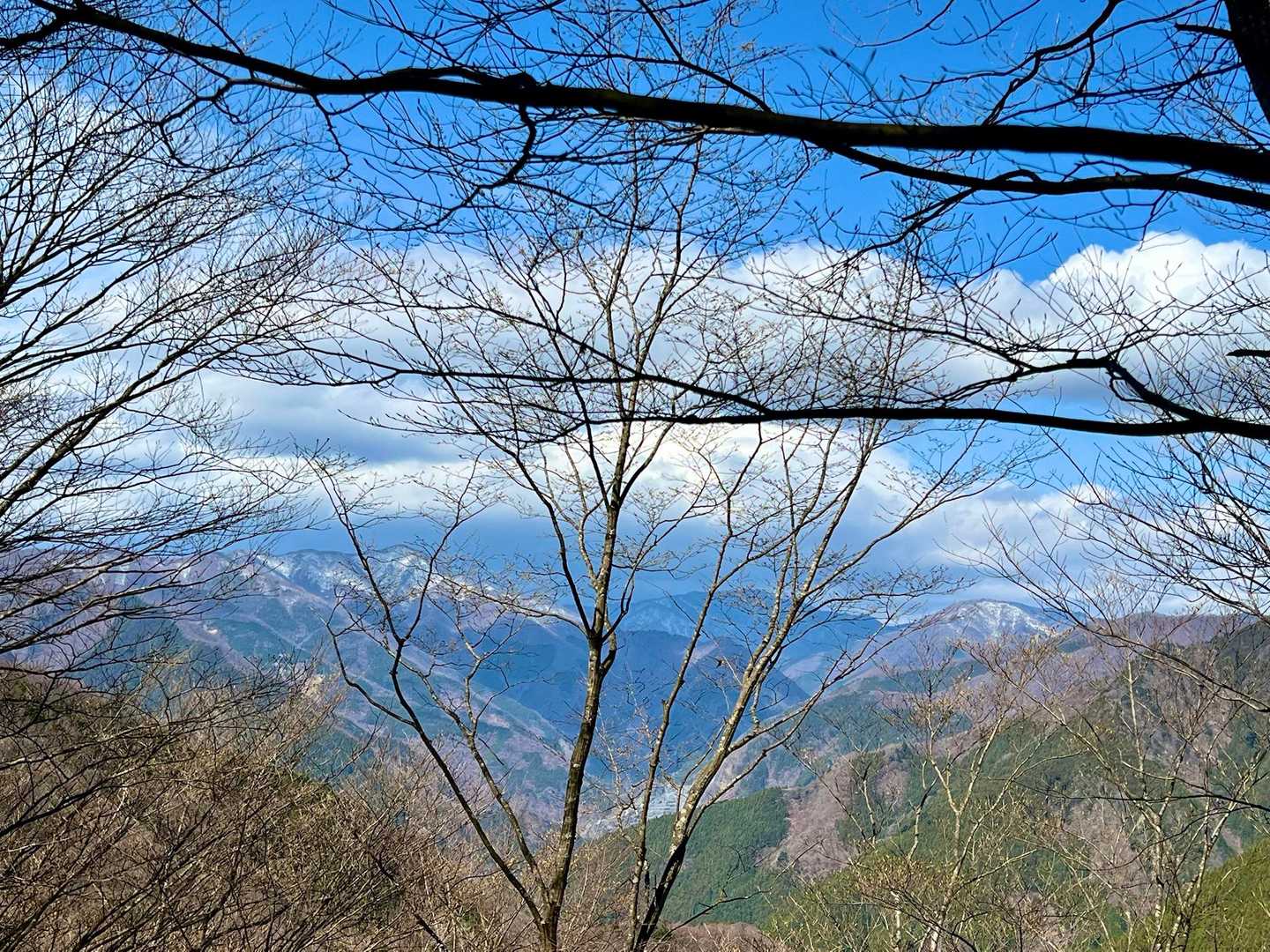 尾根道の木々の隙間から雪を纏った山が見えて山ナビを見てみたらナイトハイクで登った鷹ノ巣山と雲取山でした。
自分が登った山を別の山から眺めるのもまた楽しい😌💚