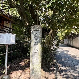 いつもの登山口から、少しずつ勾配を上がっていきます🚶‍♂️✨
登り始めてほんの3分ほど……クニオさんからの会話がピタッと途切れ、聞こえてくるのは荒い深呼吸だけに😮‍💨
「明日、筋肉痛になるわ…🫩」と呟くクニオさんに、「いやいや、筋肉痛が来るのは明後日やで！🤭」とすかさず突っ込んでおきましたw