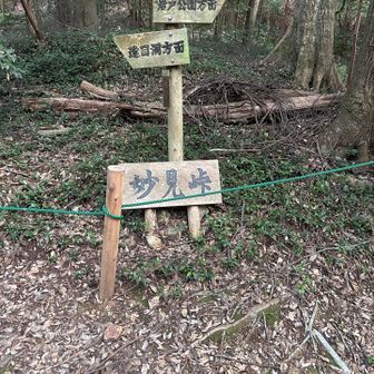 この時間ですが、まだ何人も山頂を目指して登っていかれました