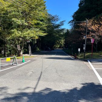 すっかり🚙も消えた🤣