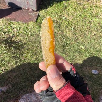 東電小屋で休憩

やーまんさんから干し芋頂きました🍠

ありがとう美味しかった😋

爆風だけど笑