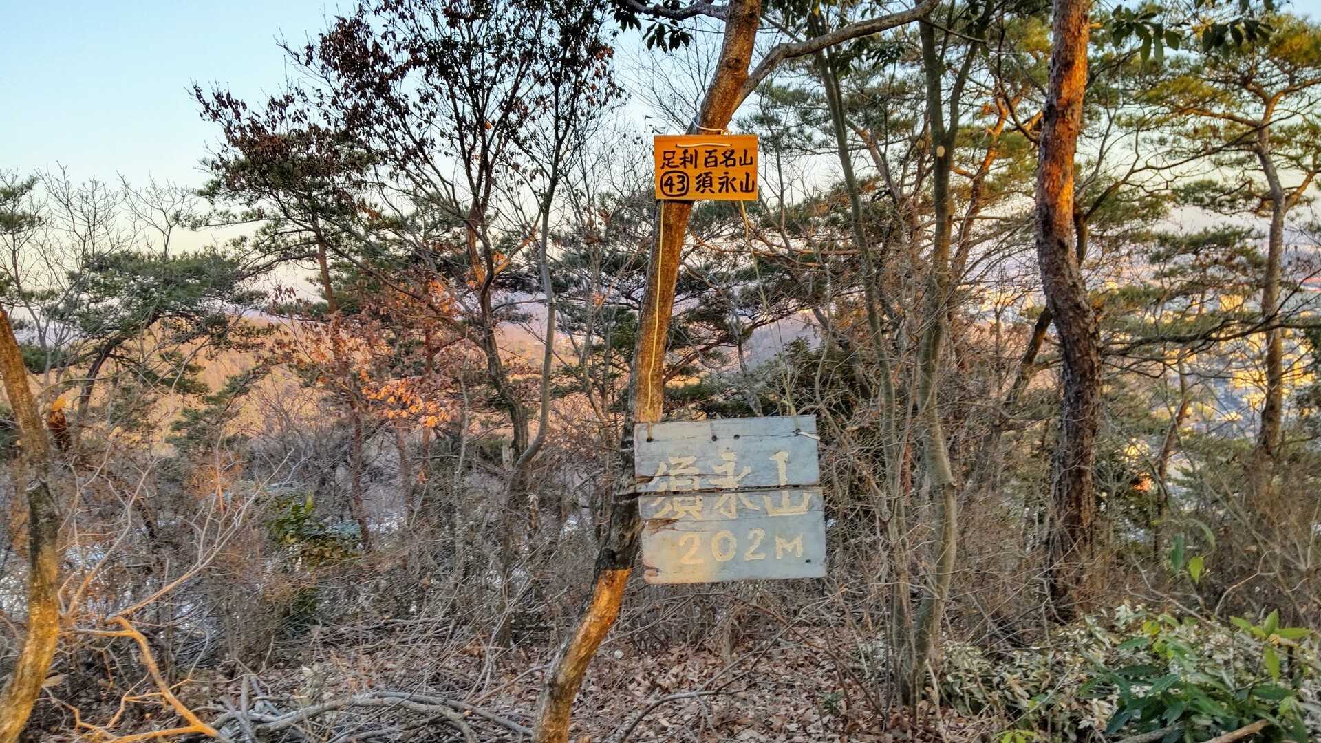 須永山の写真