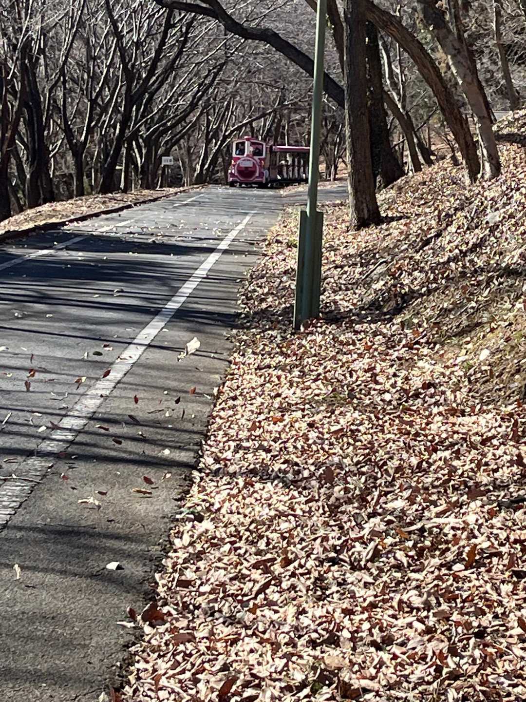園内を走る汽車🚂
お客さんはマダムが1人乗っていた
