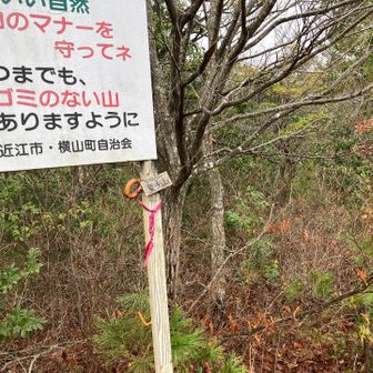 童子(どうじ)山。まさかの山頂プレート
