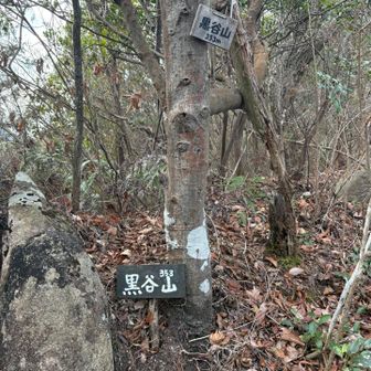 Good morning😁
黒谷山⛰️
