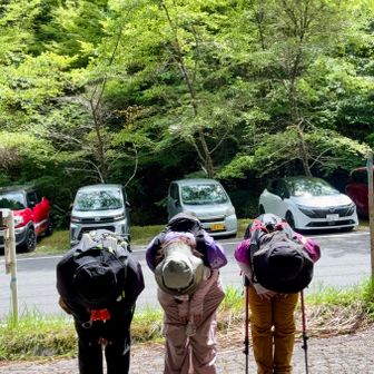 嫌な虫も居ない、終始涼しく、登山道も歩きやすい！
快適に山歩きできました🙌

お疲れ様でした😊

さて、ランチ行きまーす♪
