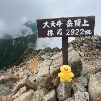 来れた🐣