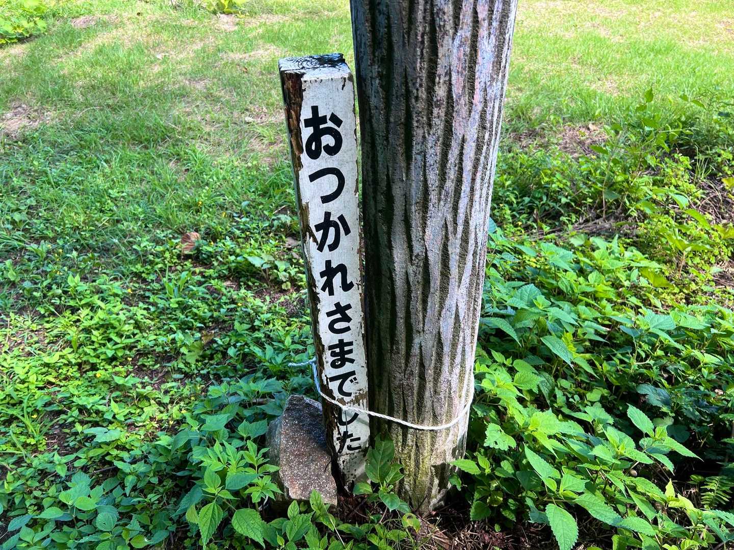 「さ」が「や」だったら👍