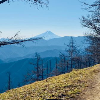 巻かずにヨモギノ頭を登ったら、良い感じ🗻