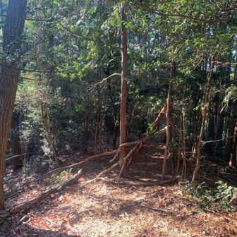 この先は行けない感じ