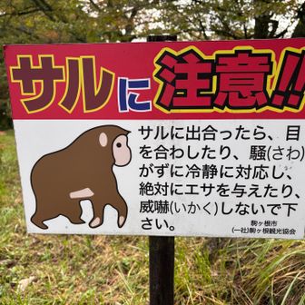 俊彦
