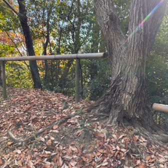 ⑤でこぼこ山
でこぼこしてるのかな？