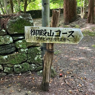 何とか無事に下りて来ることが出来ました。