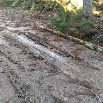 戻って来ても土は凍っていました。道中ずっとバリバリしていました。おかげでドライで汚れなかったよ。