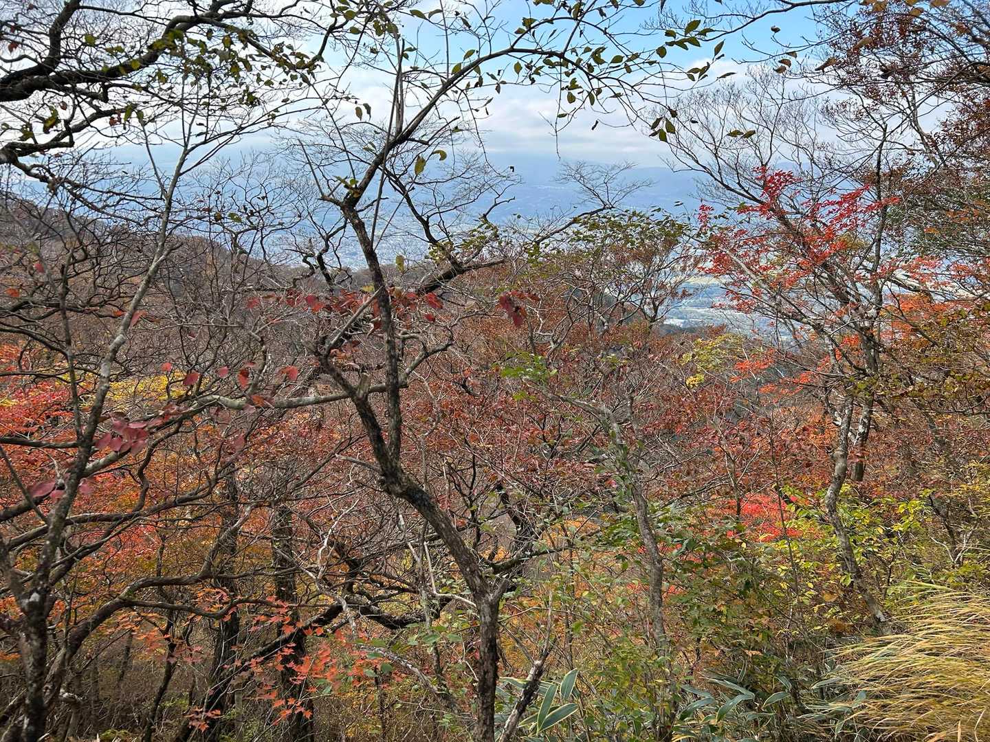 乙女駐車場-乙女峠-長尾山-金時山 往復コースの写真