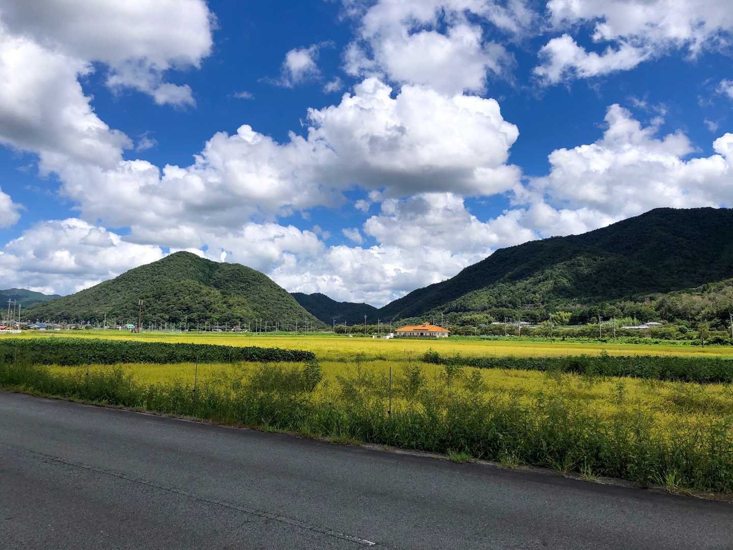 草野駅から登山口まで。のどかだ〜